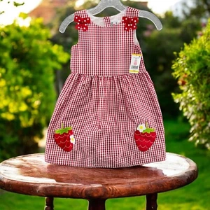 Counting Daisies Girl's Sleeveless Dress Strawberries Red Checkered Size 6 - Picture 1 of 7