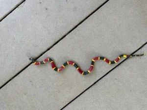 BABY CORAL SNAKE; Juguete/réplica 11,5 pulgadas de largo - Imagen 1 de 1