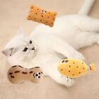 Soft Cat Chew Toy Biscuit Peanut Shape Pet Chicken Leg Molar Toy  Massage
