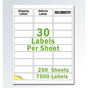 1" x 2-5/8" Address Labels - Printable Mailing Stickers for Laser/Inkjet Prin... - Picture 1 of 6