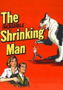 Incredible Shrinking Man (1957) - Colourized Public Domain DVD Grant Williams - Picture 1 of 3