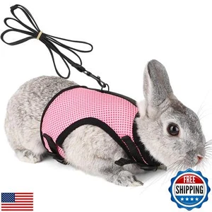 Pettom Bunny Rabbit Harness with Stretchy Leash Cute Adjustable Buckle Breath - Picture 1 of 5