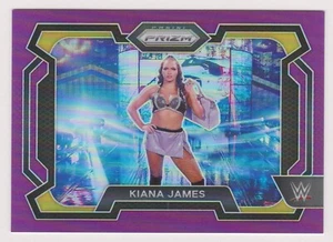 2024 Panini Prizm WWE Kiana James 118/149 Purple Prizm NXT - Picture 1 of 2