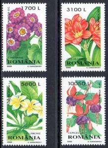 Romania 2000 - Flowers, Plants  " Ornamental Plants" Complete Set MNH - Picture 1 of 1