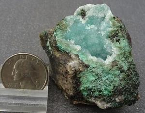 Drusy Quartz on Chrysokoll, Arizona - Mineral Specimen for Sale - Bild 1 von 5