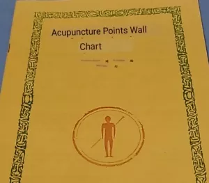 Acupuncture Point Wall Chart Illustrated Chinese 1988 - Picture 1 of 9