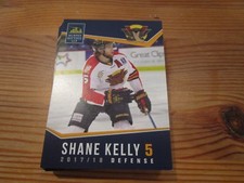 2017-18 VERNON VIPERS SHANE KELLY BCHL SINGLE PLAYER CARD 