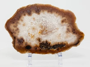 Agate Geode Slab Slice Natural Polished Quartz Decor 8.92” 14.11oz H2267 - Picture 1 of 13