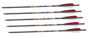 5 Spezial Carbon Bolzen Pfeile für FX Verminator, Bobcat, Streamline Arrow - Bild 1 von 1