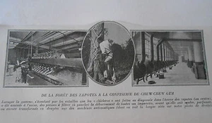 1924 De la Forêt des Zapotes à la confiserie de Chew-Chew Gum image print - Picture 1 of 1