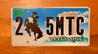 WYOMING DEVIL'S TOWER /BUCKING HORSE LICENSE PLATE /TAG ~5MTC~ (2009)