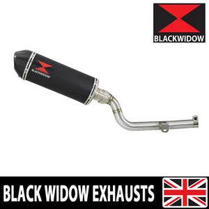 CRF300 L RALLY Exhaust Silencer End Can Oval Black Stainless & Carbon 300BT - Picture 1 of 7