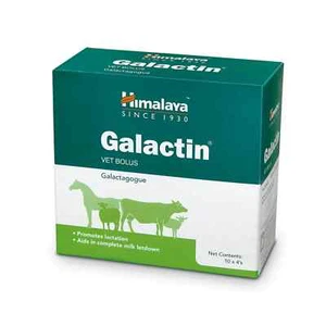 Himalaya Galactin Vet Bolus - Pack of 2 with Free Shipping - Picture 1 of 1