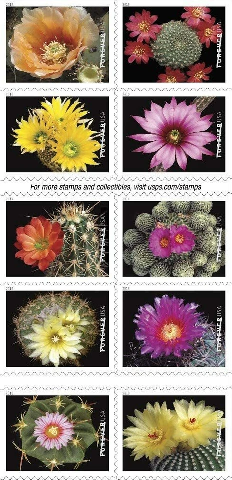 Cactus Flowers Book of 20 Forever US Postage Stamps Scott 5359b - Image 1 of 1