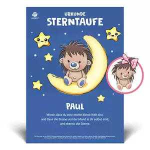Sterntaufe Geschenk Jungen & Mädchen, Babys & Kinder: Geburt, Geburtstag, Taufe - Bild 1 von 9
