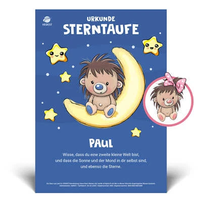 Sterntaufe Geschenk Jungen & Mädchen, Babys & Kinder: Geburt, Geburtstag, Taufe - Bild 1 von 4