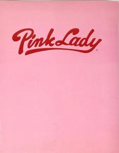 Pink Lady - Japanese Pop J-Pop Duo Rare 1979 Press Kit Elektra Records - Bild 1 von 8