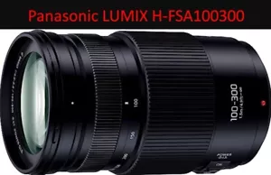 Panasonic LUMIX G VARIO 100-300mm F4.0-5.6 II POWER O.I.S. H-FSA100300 - Bild 1 von 8