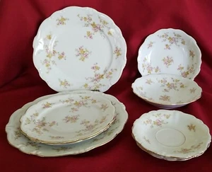 JOHANN HAVILAND GERMANY 2 Fine Porcelain Dinner Place Settings (8 pcs.) MICHELE - Picture 1 of 12