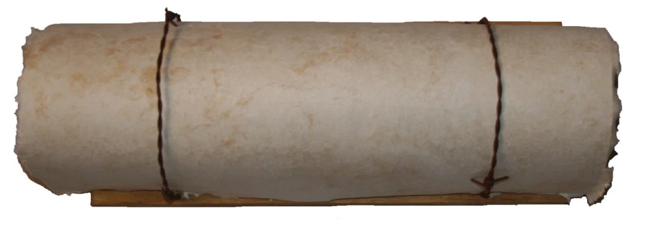 BARBED WIRE HORIZONTAL WALL SCONCE LIGHT FIXTURE: RUSTIC, RANCH, LODGE, WESTERN  - Image 1 of 1