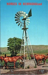 Nebraska Land Horses Postcard S-55845-3 Unposted - Picture 1 of 2