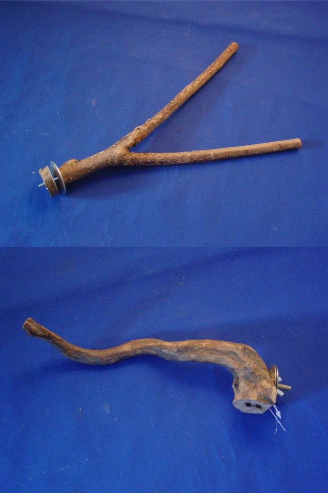 OLLESCH Sitzzweig - Sitzstange für Sittiche und Exoten