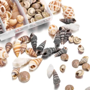 100 Pcs Muscheln Deko - Deko Muscheln und Seesterne, Muscheln zum Basteln für Va - Bild 1 von 7