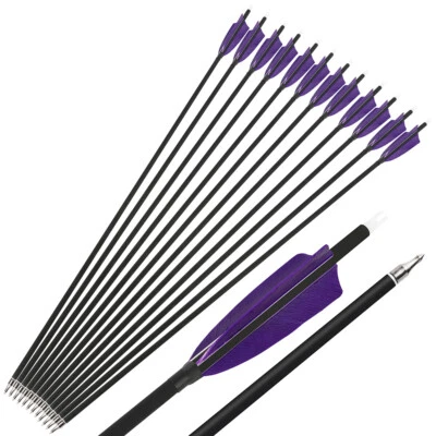 28" 30" 31" Archery Carbon Arrow SP500 Compound Recurve Bow 4" Feather Target - Image 1 of 4