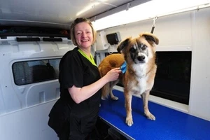 Mobile Pet Grooming Groomer Business Plan - Picture 1 of 3