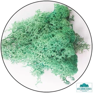 Lichen - Reindeer Moss (Icelandic Moss) Pacific Green - Picture 1 of 1