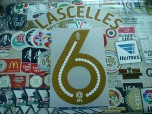 OFFICIAL NEWCASTLE UNITED FC HOME EFC 2016-17 PLAYER SIZED PRINT - Picture 1 of 18