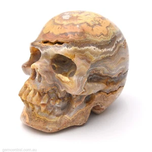 Skull 55mm Lace Agate 225g, Natural Gemstone,Hand Carved,Metaphysical - Imagen 1 de 7