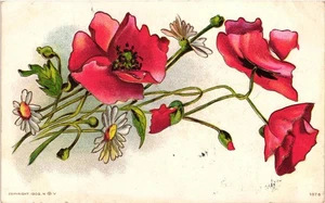 Postal floral vintage en relieve 1908 amapolas margaritas Springranch Nebraska - Imagen 1 de 2