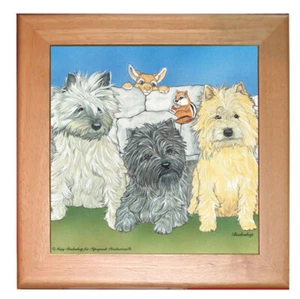Cairn Terrier Hund Küche Keramik Untersetzer gerahmt in Kiefer 8" x 8" - Bild 1 von 1