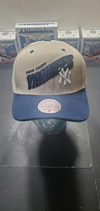 New York Yankees MLB Mitchell And Ness Pro Crown Fit Snapback Hat - Imagen 1 de 3