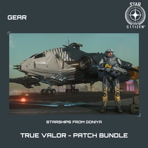 STAR CITIZEN - GEARS - TRUE VALOR - PATCH BUNDLE (LIMITED ITEM) - Picture 1 of 1