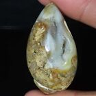 110.45 Cts Natural Crystal Fossil Snail Druzy Fancy Shape Loose Gemstone kk91