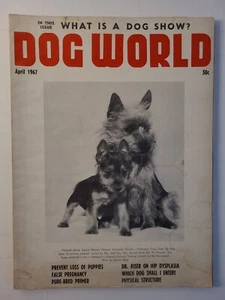Rare Vintage DOG WORLD Magazine (April 1967) Australian Terriers Cover - Imagen 1 de 10