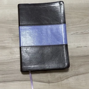 Holman Rainbow Study Bible NIV Edition LeatherTouch Brown Purple Fast Shipping - Picture 1 of 4