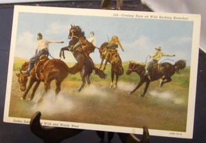 Cowboy Race on Wild Bucking Broncos Rodeo Vintage PC-1940 - Imagen 1 de 2