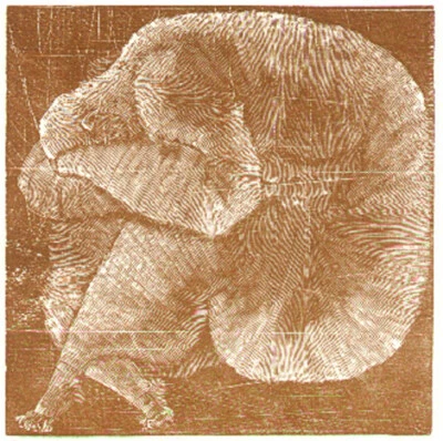 Holzstich Original IM SCHLARAFFENLAND SCHLAF ALS ARBEITSZEIT von Schanzenbacher - Bild 1 von 3