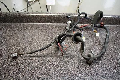 Nissan Máxima 1998 arnés de cables puerta del conductor delantero izquierdo conector eléctrico 98 Foto 1 de 4