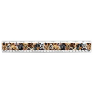 "Regla de plástico métrica estándar de 12" para perros perritos de laboratorio retriever - Imagen 1 de 4