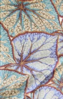 PHILIP JACOBS BEGONIA LEAVES GREY PWPJ018  17” X WOF  original issue - Image 1 of 2