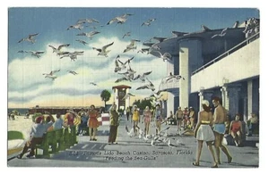 Sarasota, Florida Lido Beach Casino Vintage Postcard - Picture 1 of 2