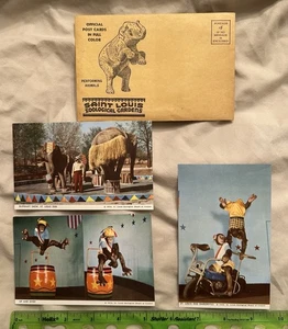 3 Vintage Postcards Chimpanzee Envelope Elephant St Louis Zoological Gardens '52 - Picture 1 of 2