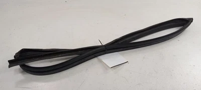 Sello de ventana de vidrio para puerta Saturn Vue goma pasajero delantero derecho 2008 2009 2010 Foto 1 de 4