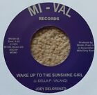 scan Joey Delorenzo   Wake Up To The Sunshine Girl