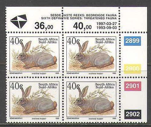 RSA 1993 Rabbit/Animals/Nature/Wildlife 1997 rprnt 1v c/b (za10029) - Image 1 of 1
