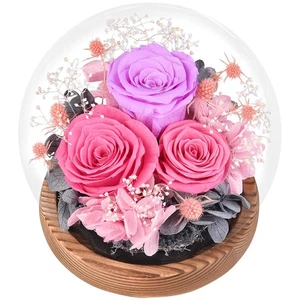 Forever Flowers Rosen für Sie - konservierte echte Blumen in Glaskuppel - für Bi... - Bild 1 von 6